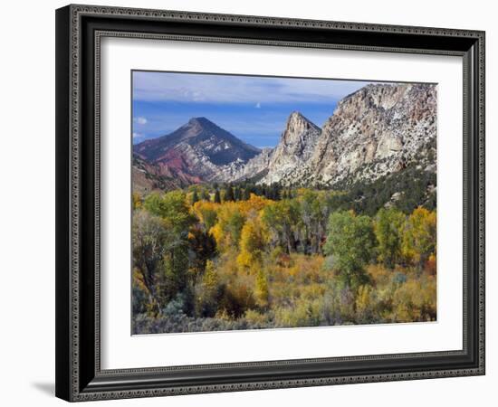 Flaming Gorge NRA, Utah. Overlook into Sheep Creek Canyon in Autumn-Scott T. Smith-Framed Photographic Print