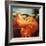 Flaming June-Frederick Leighton-Framed Giclee Print