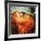 Flaming June-Frederick Leighton-Framed Giclee Print