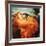 Flaming June-Frederick Leighton-Framed Giclee Print