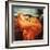 Flaming June-Frederick Leighton-Framed Giclee Print