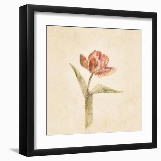 Flaming Parrot Tulip on White Crop-Cheri Blum-Framed Art Print