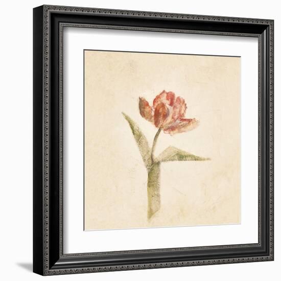 Flaming Parrot Tulip on White Crop-Cheri Blum-Framed Art Print