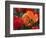 Flaming Parrot Tulips in Bloom-Charles Benes-Framed Photographic Print