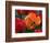 Flaming Parrot Tulips in Bloom-Charles Benes-Framed Photographic Print