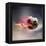 Flaming Soccer Ball-null-Framed Premier Image Canvas