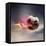 Flaming Soccer Ball-null-Framed Premier Image Canvas