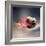 Flaming Soccer Ball-null-Framed Photographic Print