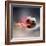 Flaming Soccer Ball-null-Framed Photographic Print