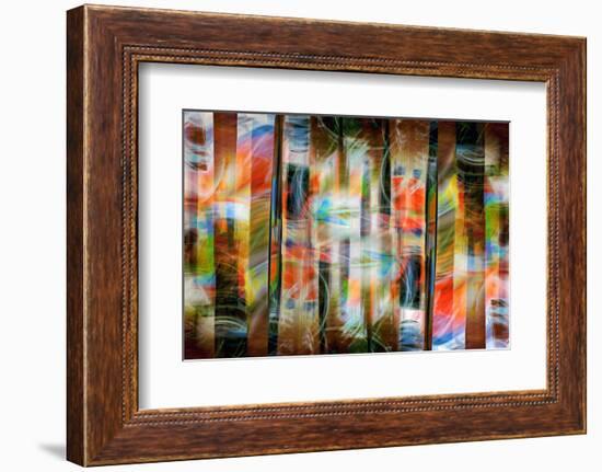 Flaming Woods-Ursula Abresch-Framed Photographic Print