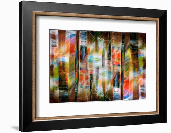 Flaming Woods-Ursula Abresch-Framed Photographic Print