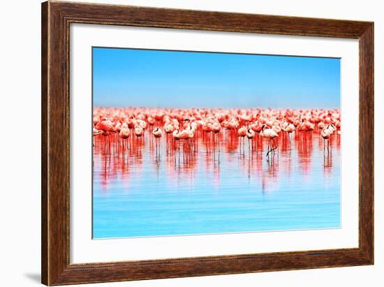 Flamingo Birds in the Lake Nakuru, African Safari, Kenya-Anna Om-Framed Photographic Print