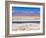 Flamingo Breeding Site, Laguna Chaxa, Salar De Atacama, Atacama Desert, Norte Grande, Chile-Gavin Hellier-Framed Photographic Print