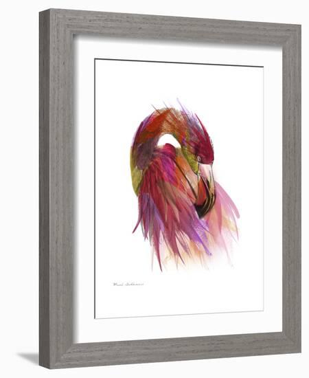 Flamingo Colors 2-Mark Ashkenazi-Framed Giclee Print