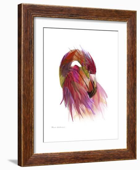 Flamingo Colors 2-Mark Ashkenazi-Framed Giclee Print