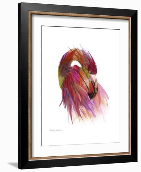 Flamingo Colors 2-Mark Ashkenazi-Framed Giclee Print