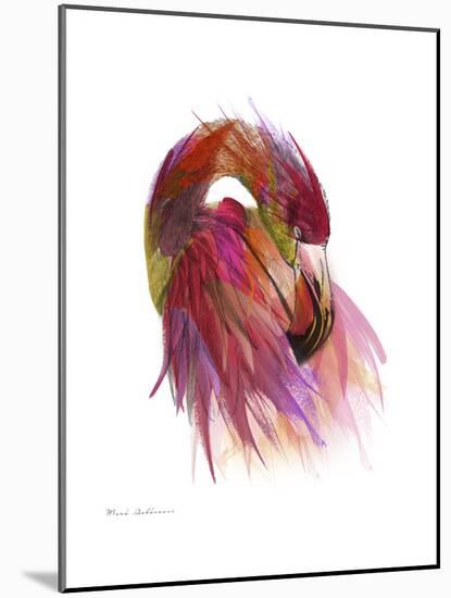 Flamingo Colors 2-Mark Ashkenazi-Mounted Giclee Print