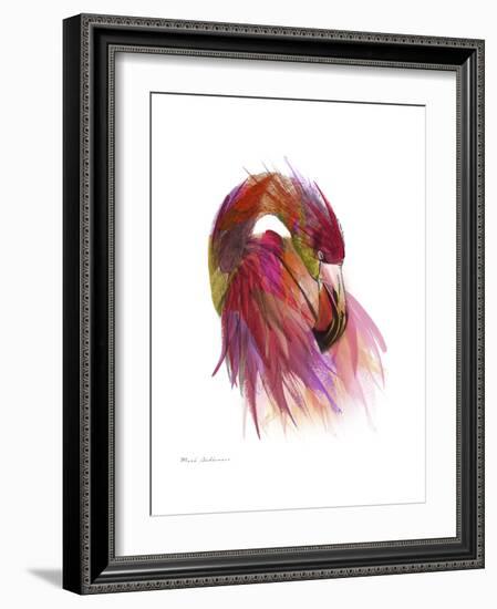 Flamingo Colors 2-Mark Ashkenazi-Framed Giclee Print