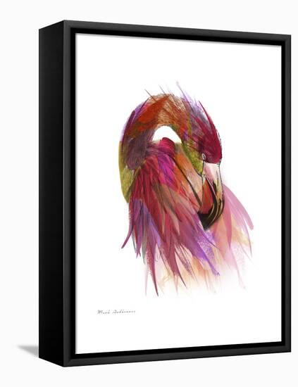 Flamingo Colors 2-Mark Ashkenazi-Framed Premier Image Canvas