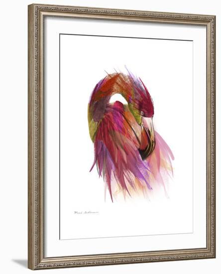 Flamingo Colors 2-Mark Ashkenazi-Framed Giclee Print