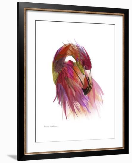 Flamingo Colors 2-Mark Ashkenazi-Framed Giclee Print