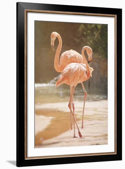 Flamingo Daydreams-Carina Okula-Framed Giclee Print