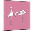 Flamingo Duo - Blush-Sandra Jacobs-Mounted Art Print