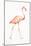 Flamingo Duo I-Tiffany Hakimipour-Mounted Art Print