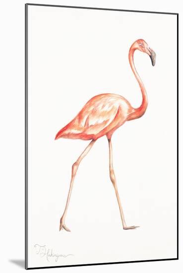 Flamingo Duo I-Tiffany Hakimipour-Mounted Art Print