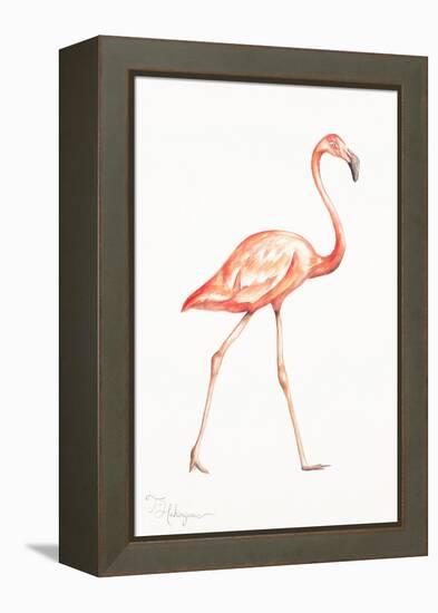 Flamingo Duo I-Tiffany Hakimipour-Framed Stretched Canvas