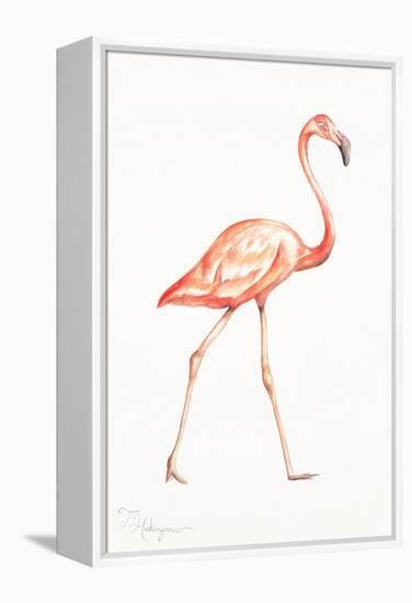 Flamingo Duo I-Tiffany Hakimipour-Framed Stretched Canvas