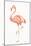 Flamingo Duo II-Tiffany Hakimipour-Mounted Art Print