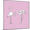Flamingo Duo-Sandra Jacobs-Mounted Giclee Print