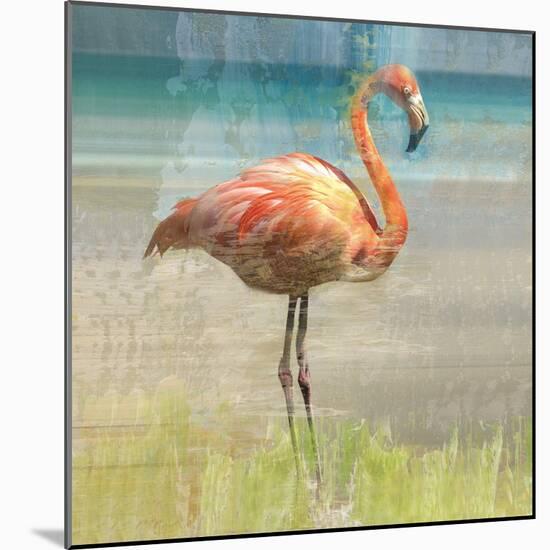 Flamingo Fancy I-null-Mounted Art Print