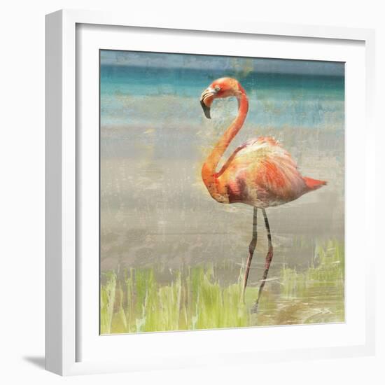 Flamingo Fancy II-null-Framed Art Print