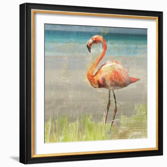 Flamingo Fancy II-null-Framed Art Print