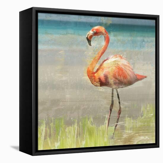 Flamingo Fancy II-null-Framed Stretched Canvas