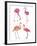 Flamingo Fandango II-Sandra Jacobs-Framed Giclee Print