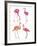 Flamingo Fandango II-Sandra Jacobs-Framed Giclee Print