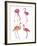 Flamingo Fandango II-Sandra Jacobs-Framed Giclee Print