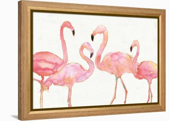 Flamingo Fever I no Splatter-Anne Tavoletti-Framed Stretched Canvas