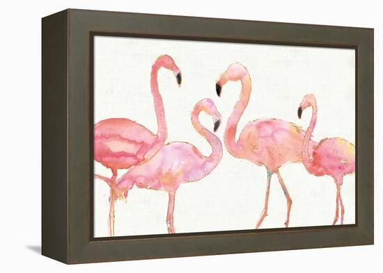 Flamingo Fever I no Splatter-Anne Tavoletti-Framed Stretched Canvas