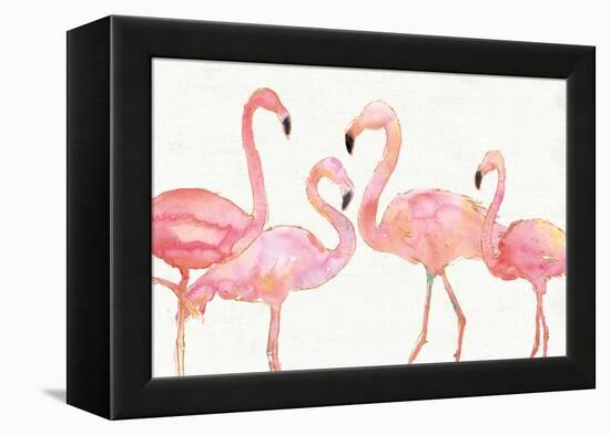 Flamingo Fever I no Splatter-Anne Tavoletti-Framed Stretched Canvas