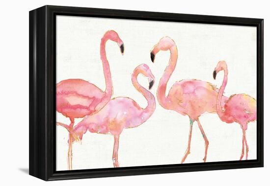 Flamingo Fever I no Splatter-Anne Tavoletti-Framed Stretched Canvas