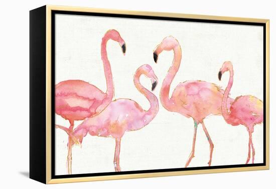 Flamingo Fever I no Splatter-Anne Tavoletti-Framed Stretched Canvas