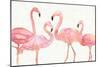 Flamingo Fever I no Splatter-Anne Tavoletti-Mounted Art Print