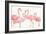 Flamingo Fever I no Splatter-Anne Tavoletti-Framed Art Print