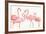 Flamingo Fever I no Splatter-Anne Tavoletti-Framed Art Print