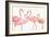 Flamingo Fever I no Splatter-Anne Tavoletti-Framed Premium Giclee Print