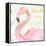 Flamingo Fever III-Anne Tavoletti-Framed Stretched Canvas